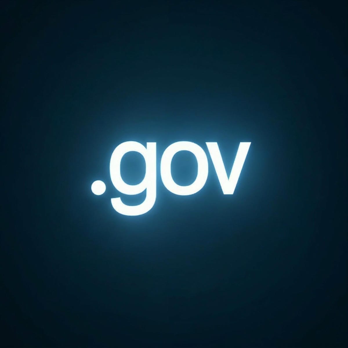 Government & Public Sector
